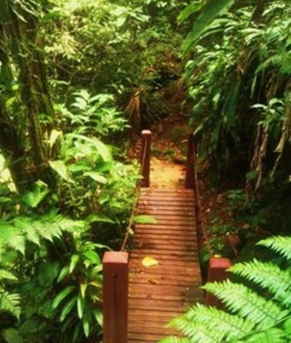 Hotel Bosques Do Massaguacu كاراغواتاتوبا المظهر الخارجي الصورة