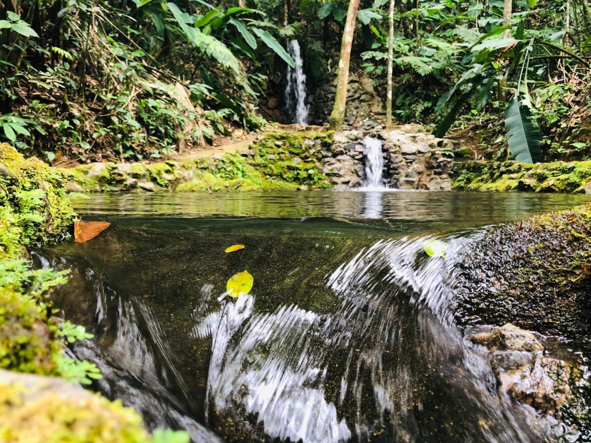 Hotel Bosques Do Massaguacu كاراغواتاتوبا المظهر الخارجي الصورة